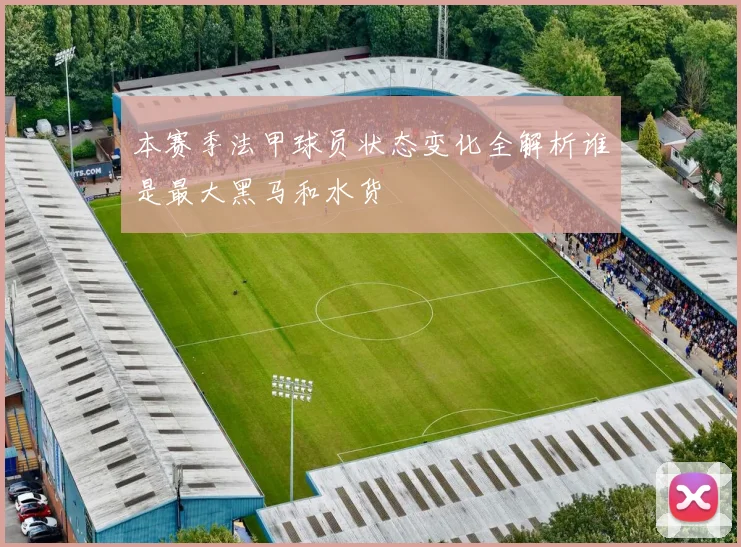 本赛季法甲球员状态变化全解析谁是最大黑马和水货