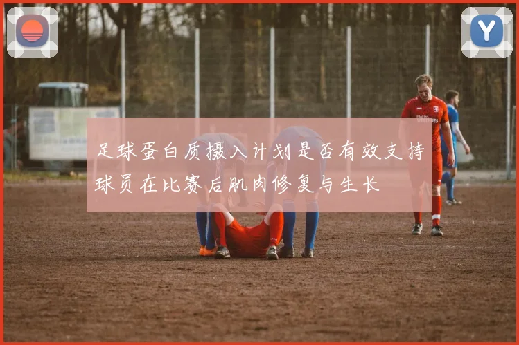足球蛋白质摄入计划是否有效支持球员在比赛后肌肉修复与生长