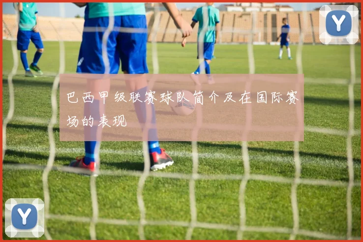 巴西甲级联赛球队简介及在国际赛场的表现