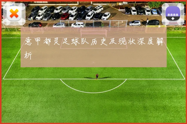 意甲都灵足球队历史及现状深度解析